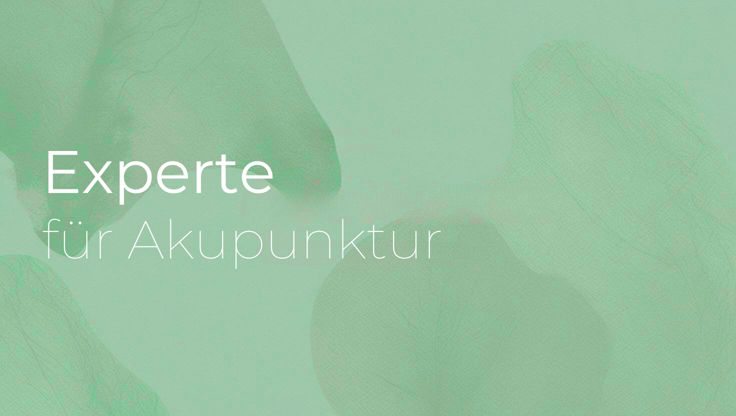Programmbild Akupunktur Experte