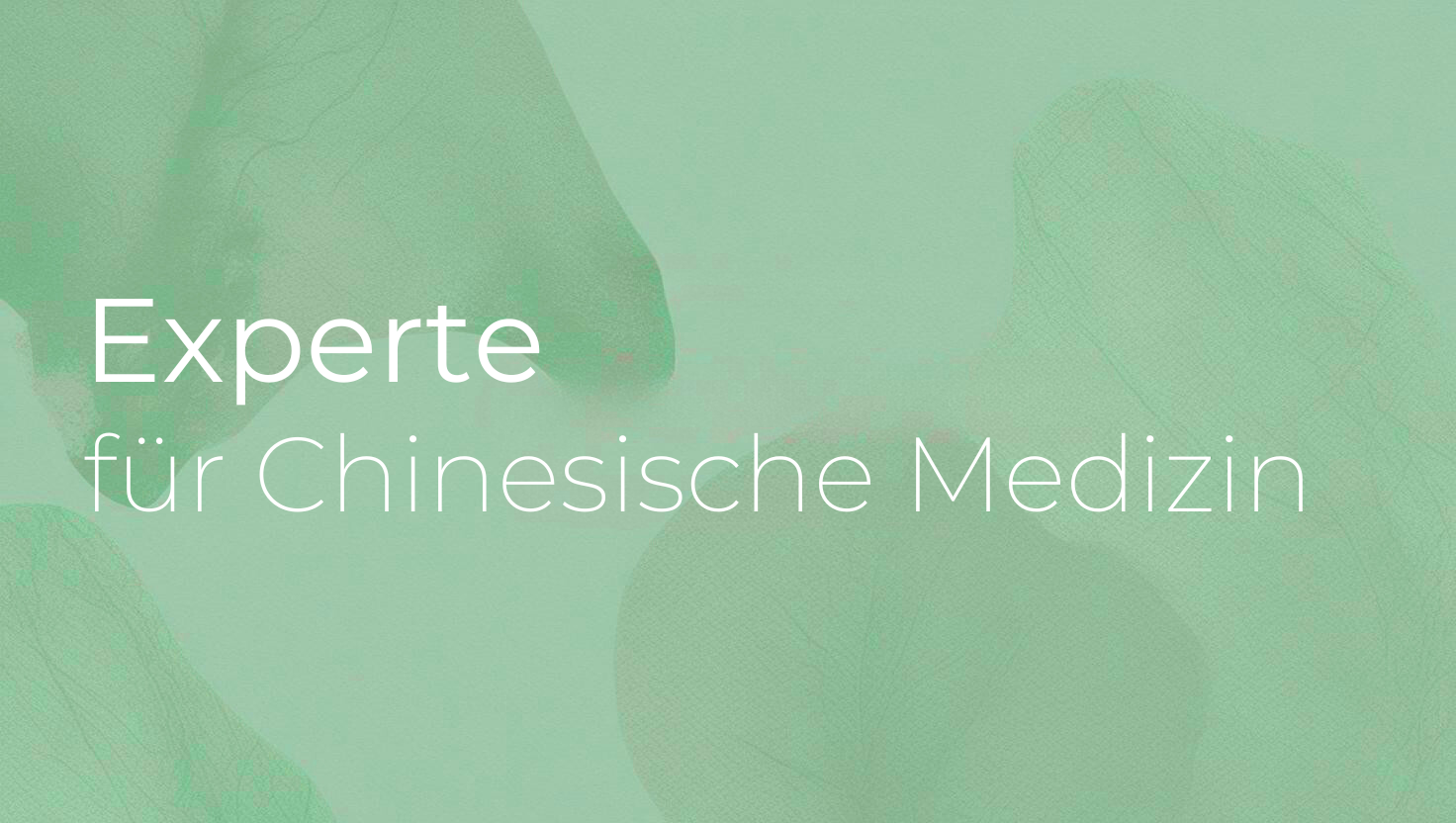 Programmbild Experte für Chinesische Medizin