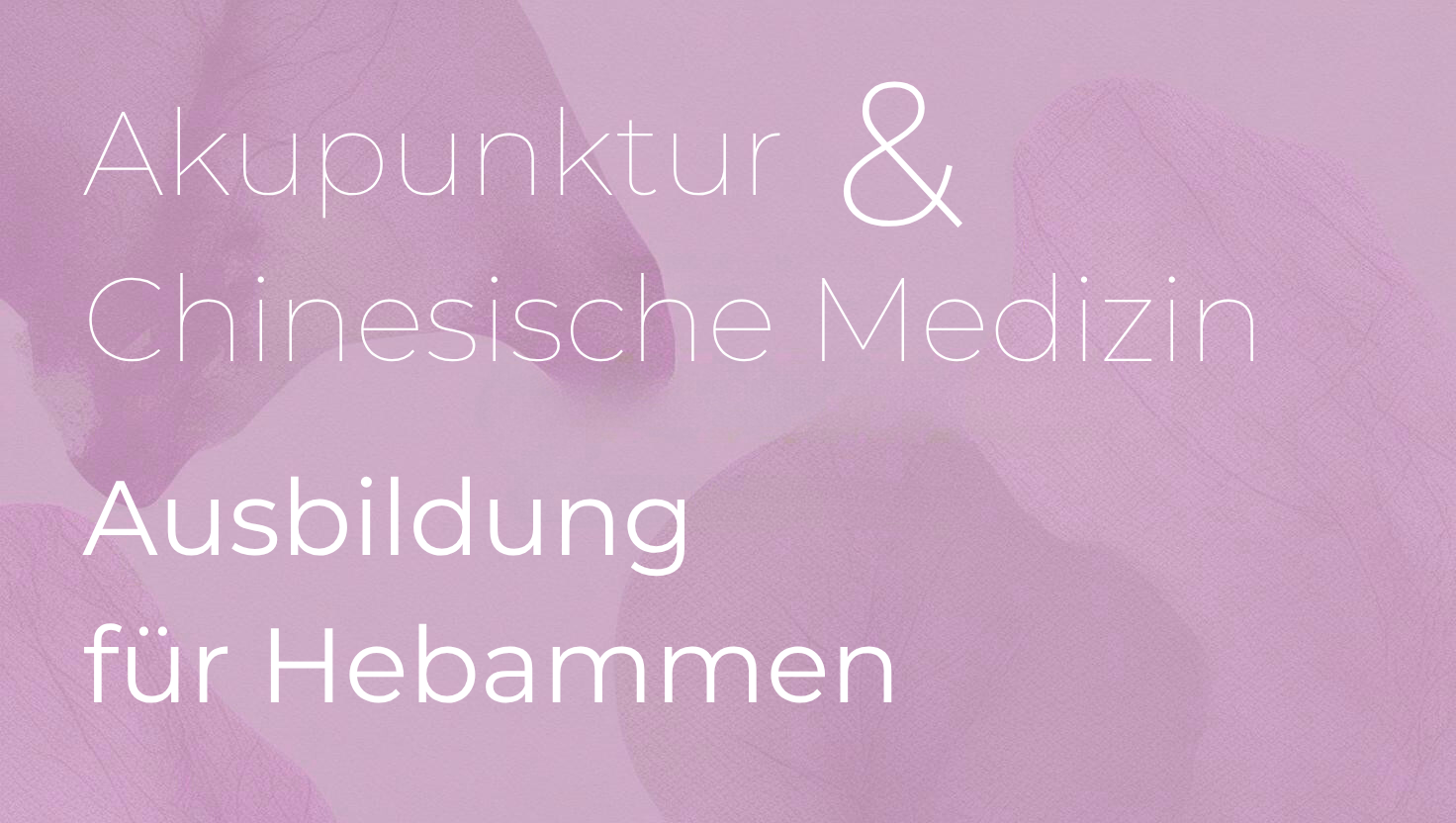 Programmbild Hebammen-Ausbildung