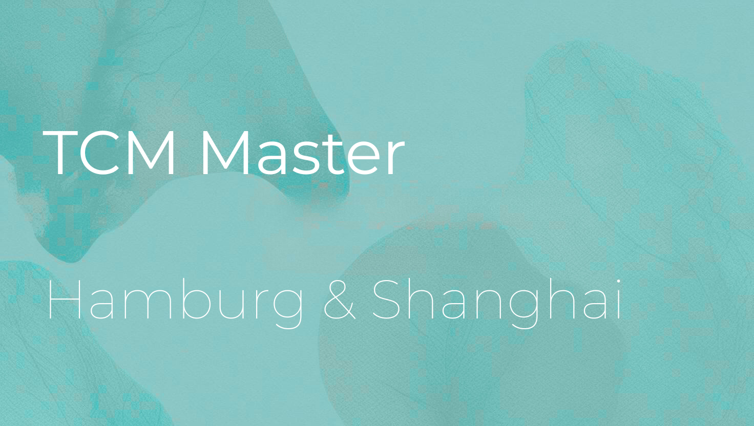 Programmbild Master für TCM