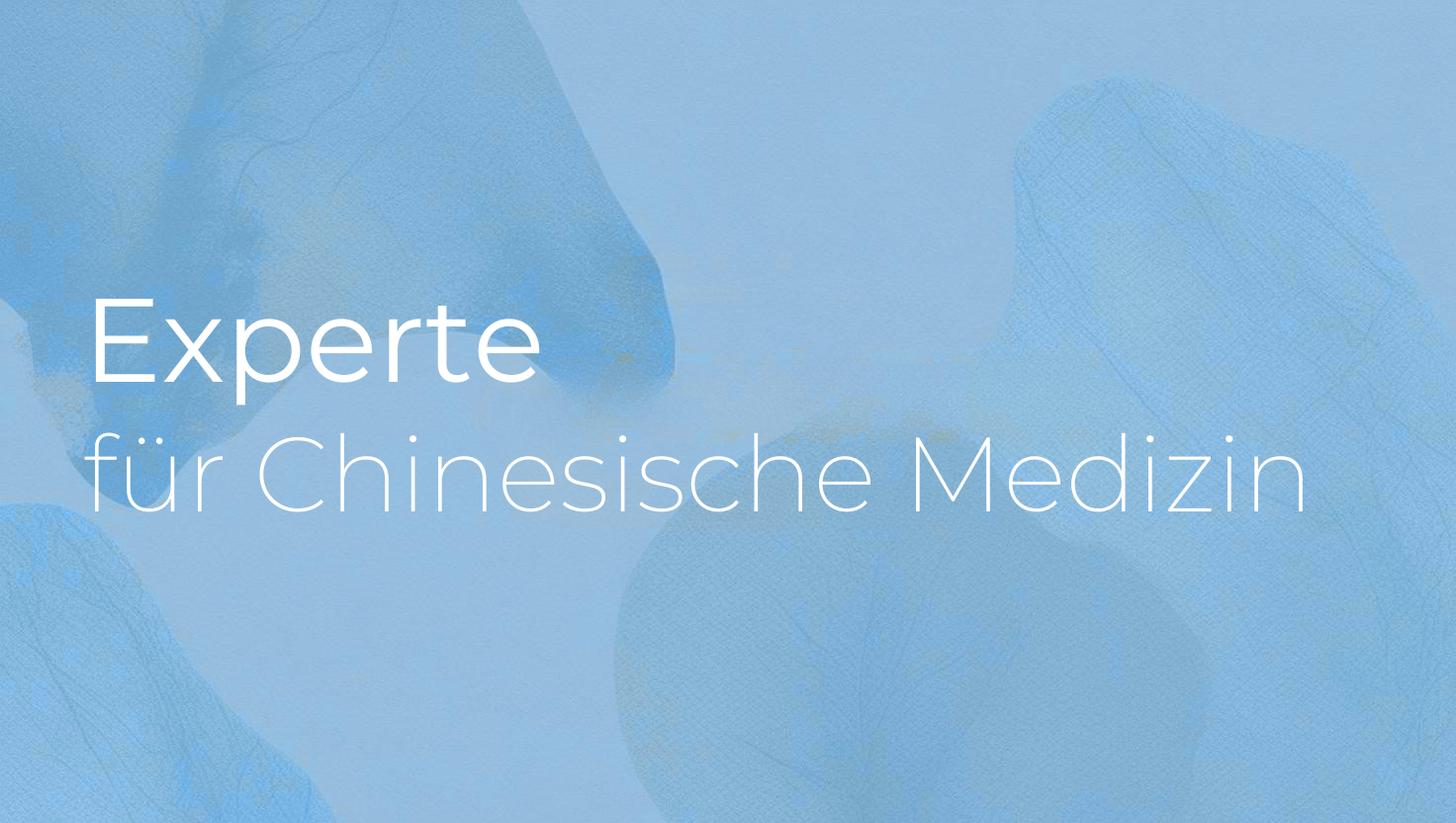 Programmbild - Experte für Chinesische Medizin