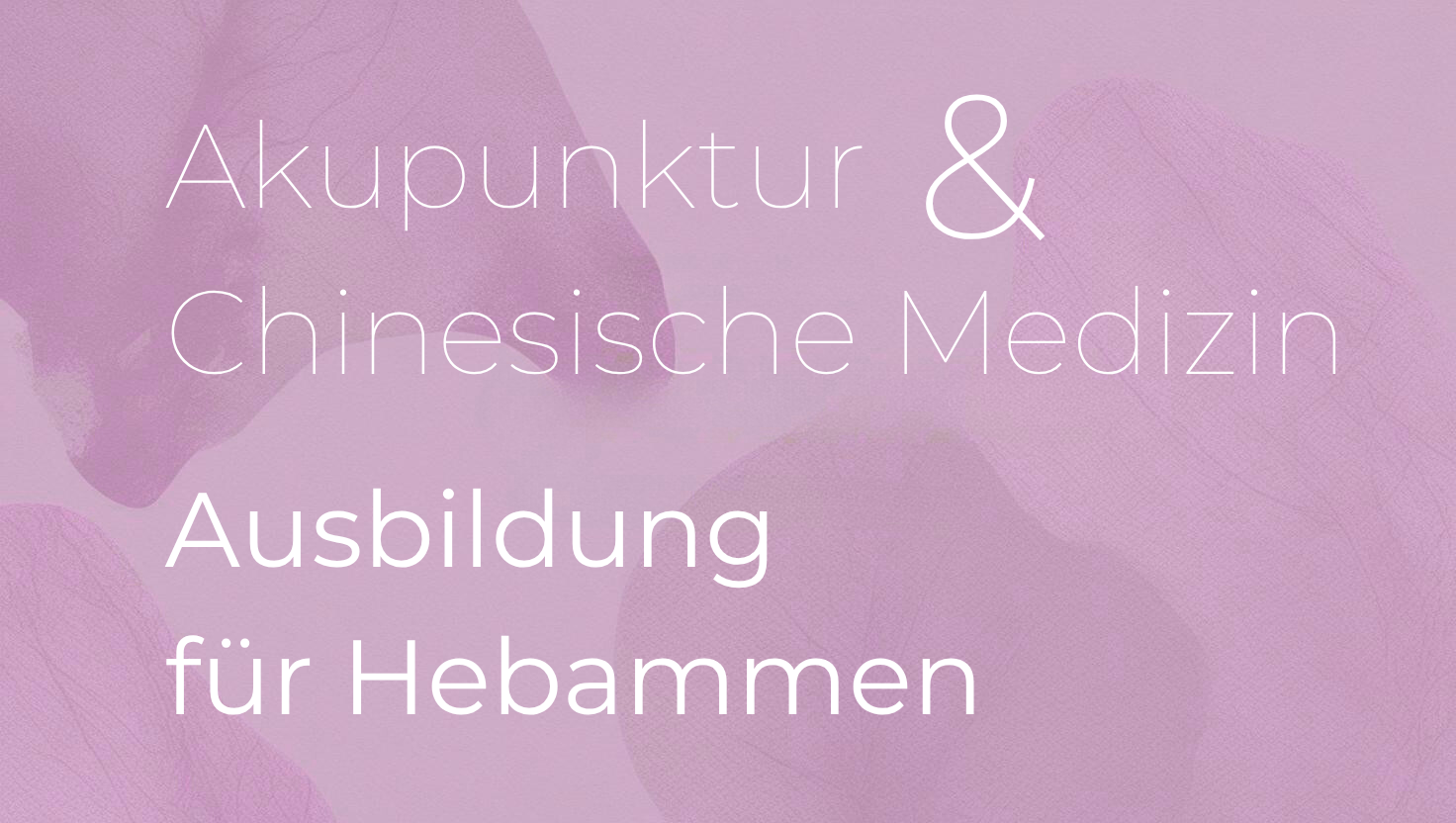 Akupunktur und Chinesische Medizin - Ausbildung für Hebammen JG26